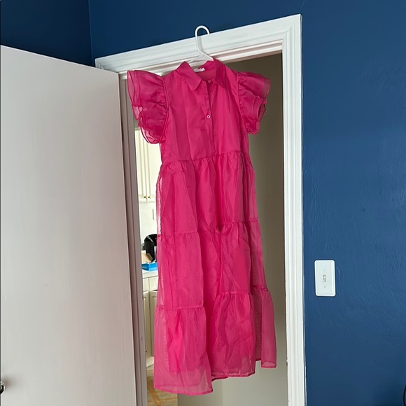 Shop The Mint Dresses & Skirts - Pink Ruffled Dress